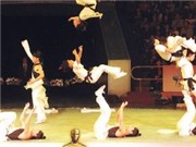 Bóng đá anh, ngoại hạng anh, lịch thi đấu euro 2012, Nghệ sĩ nhào lộn Trung Quốc trình diễn lại lễ trao giải Oscar